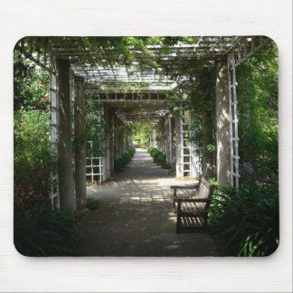 Dold Walkway Musmatta