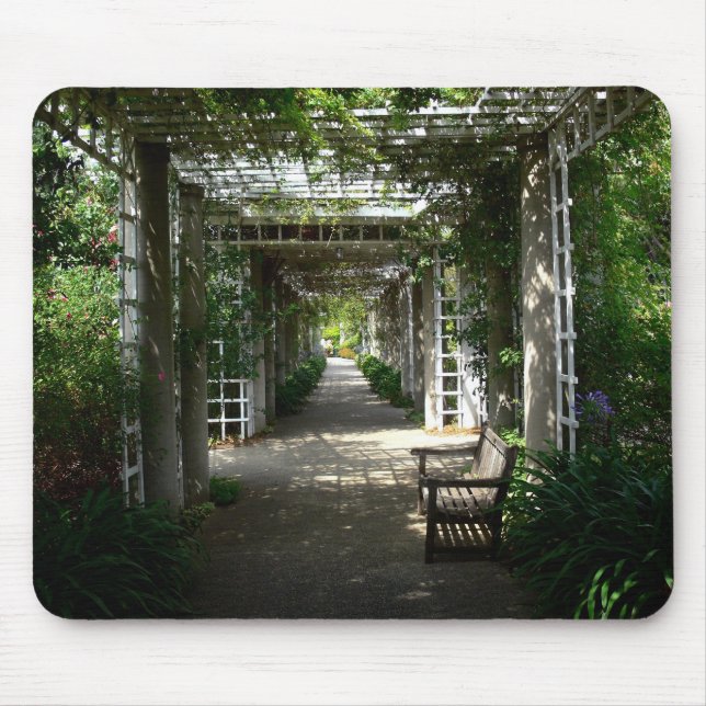 Dold Walkway Musmatta (Framsidan)