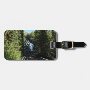 Dolda fallen i Grand Teton National Park Bagagebricka