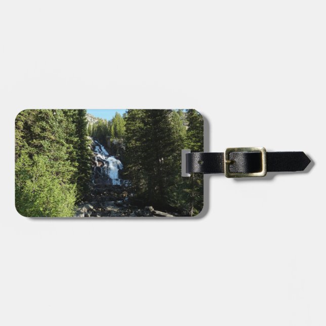 Dolda fallen i Grand Teton National Park Bagagebricka (Horisontell Framsida)