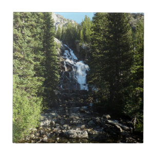 Dolda fallen i Grand Teton National Park Kakelplatta