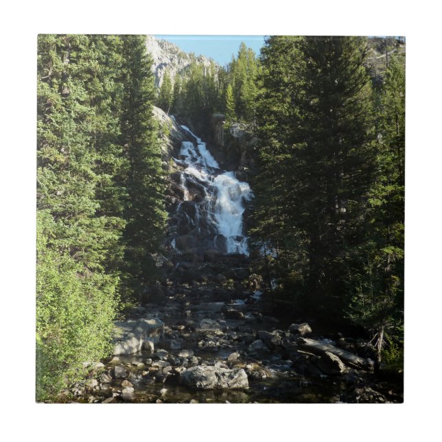 Dolda fallen i Grand Teton National Park Kakelplatta (Framsidan)