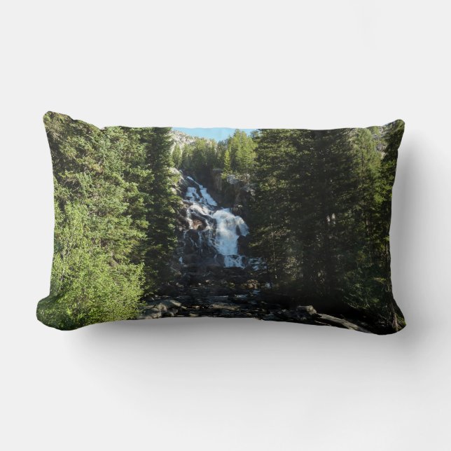 Dolda fallen i Grand Teton National Park Lumbarkudde (Framsida)
