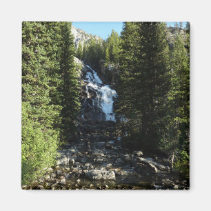 Dolda fallen i Grand Teton National Park Magnet