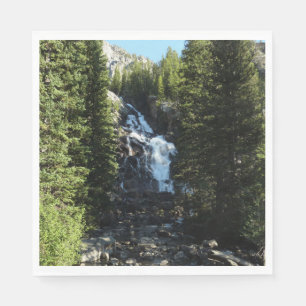 Dolda fallen i Grand Teton National Park Pappersservett