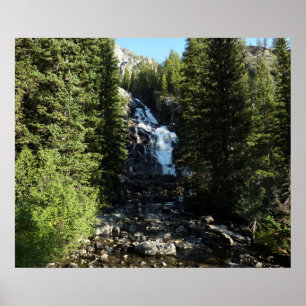 Dolda fallen i Grand Teton National Park Poster