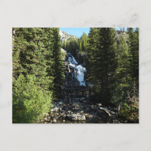 Dolda fallen i Grand Teton National Park Vykort