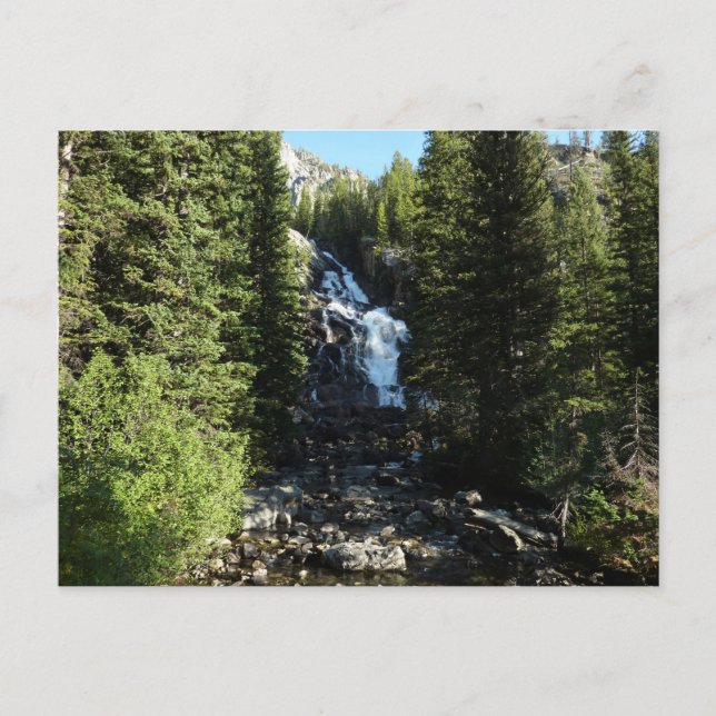 Dolda fallen i Grand Teton National Park Vykort (Framsida)