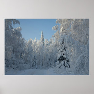 Dolda träd för snö poster