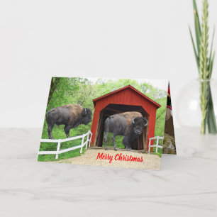 Doldt för rolig buffel för god jul överbryggar helgkort