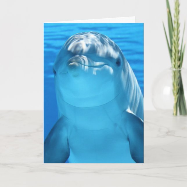 DOLFIN PHOTOGRAPHY BIRTHDAY-KORT KORT (Framsida)