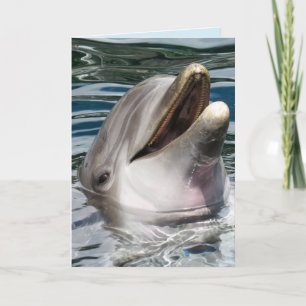 DOLFIN PHOTOGRAPHY SMILE BIRTHDAY-KORT KORT