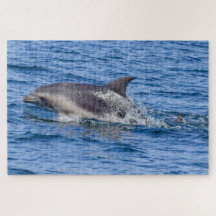 Dolfin Sighed puzzle