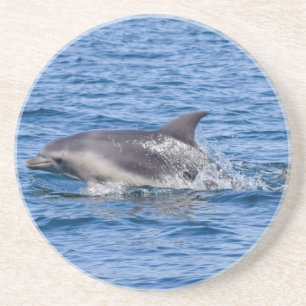 Dolfin Sighted sandstone underlägg