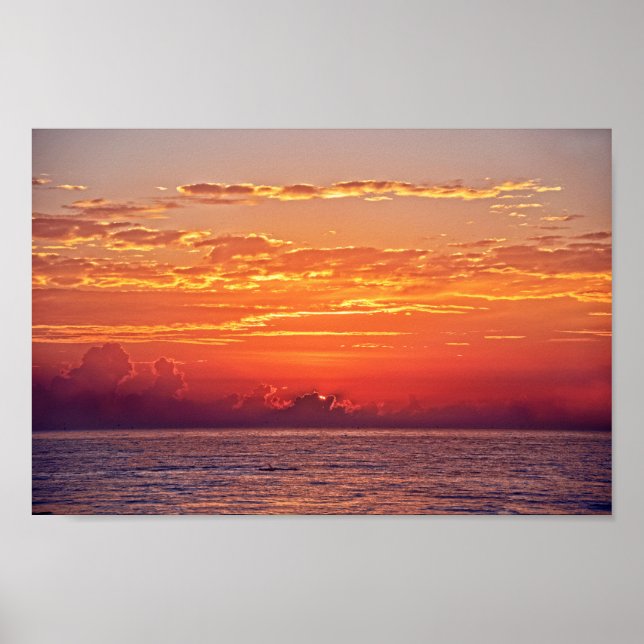 Dolfinbladet vid soluppgång poster (Framsidan)