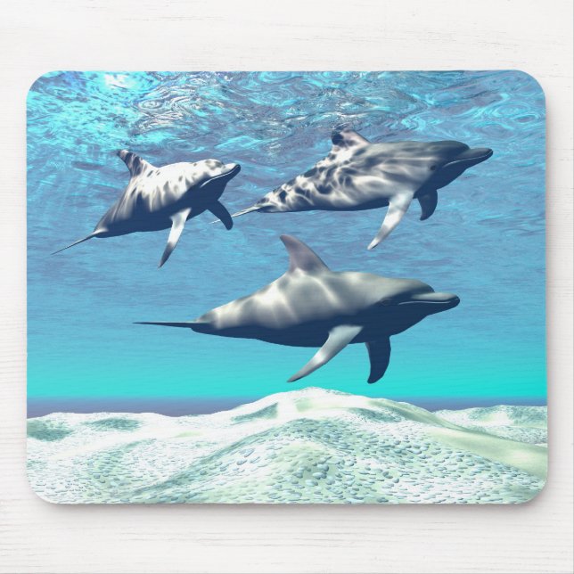 DOLFINER MOUSEPAD MUSMATTA (Framsidan)