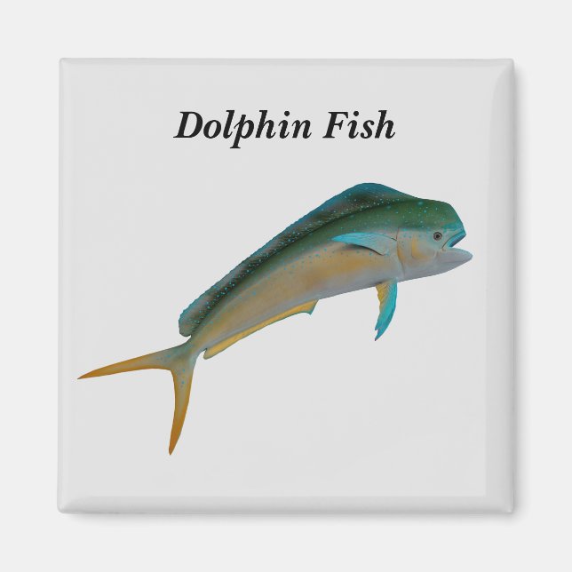Dolfinfisk Magnet (Framsidan)