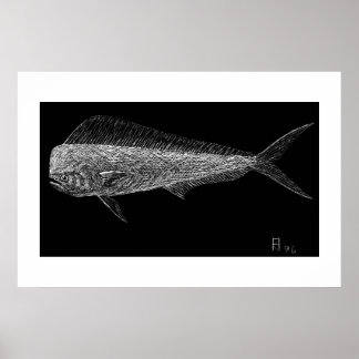 Dolfinfisk Poster