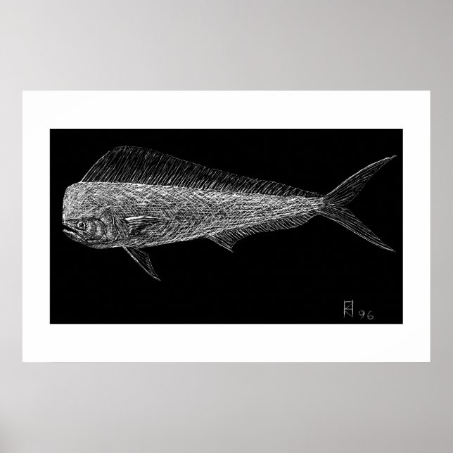 Dolfinfisk Poster (Framsidan)