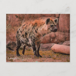 Dölj Hyena:vykort Vykort