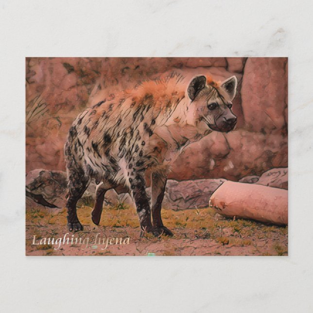 Dölj Hyena:vykort Vykort (Framsida)