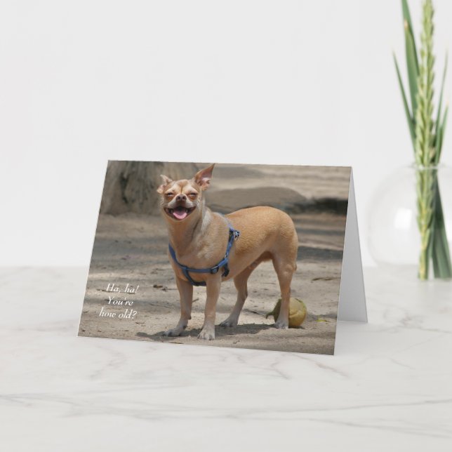 Döljande Chihuahua-födelsedagskort Kort (Framsida)