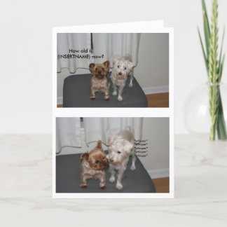 Döljande Hund Birthday Card Kort