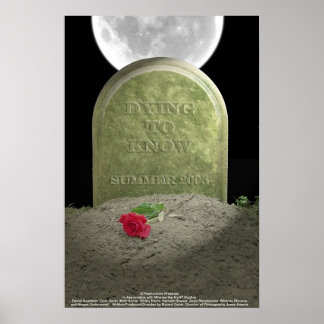 Döljer för att känna till Poster av film