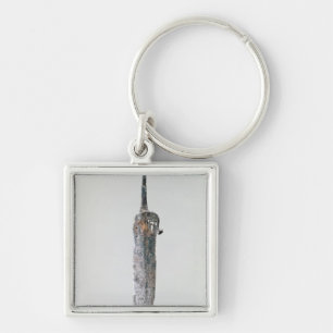 Dolk Halstatt kultur, c.750-450 BC Fyrkantig Silverfärgad Nyckelring