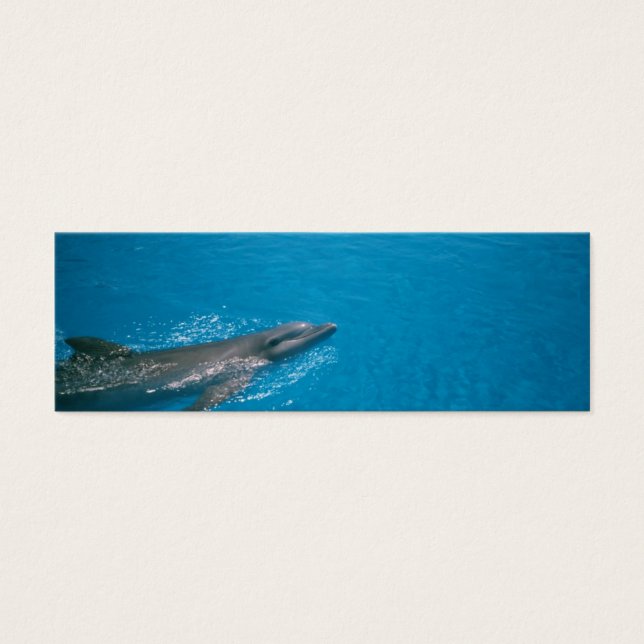 DOLLY FIN LITET VISITKORT (Framsidan)