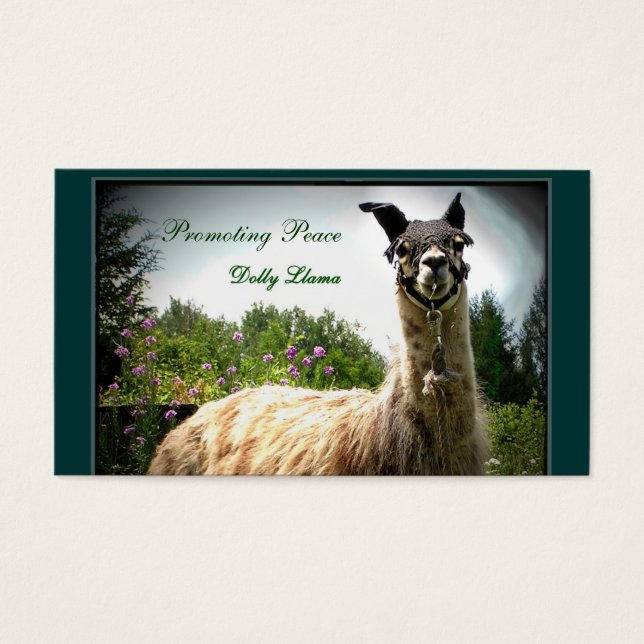 Dolly Llama Business Cards Visitkort (Framsidan)