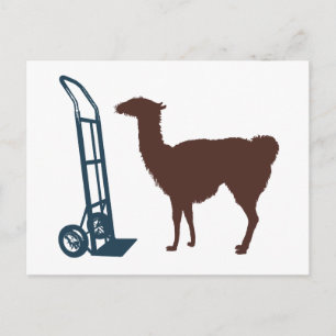 Dolly llama vykort