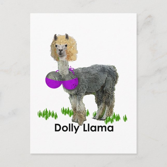 Dolly Llama Vykort (Framsida)