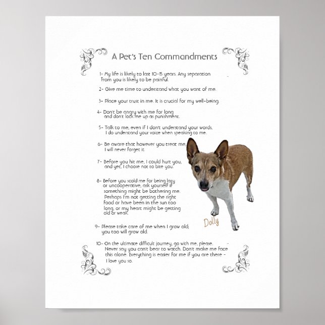 Dolly - Poster (Framsidan)