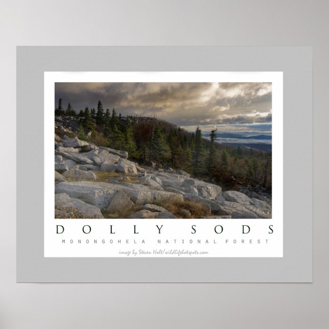 Dolly Sods Wilderness i Väster Virginia Poster (Framsidan)