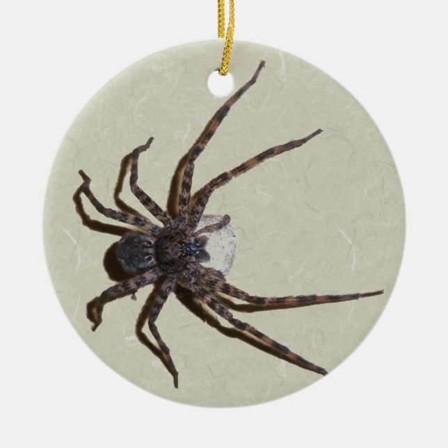 Dolomedes Mamma Spider jul Ornament (Framsidan)