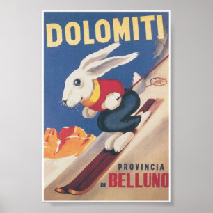 Dolomiti Italien Ski Bunny Vintage resor Poster