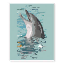 Dolphin