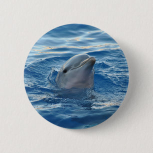 Dolphin Ansikte i Ocean Cute Photo Knapp