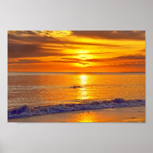 Dolphin at Sunset, Fort Myers Beach, Florida Poster (Framsidan)
