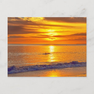 Dolphin at Sunset, Fort Myers Beach, Florida Vykort