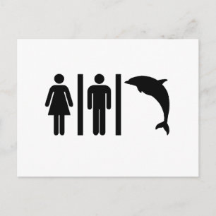 Dolphin Bathroom Vykort