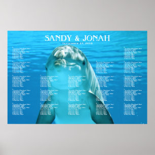 Dolphin Bröllop Tropical Sequing Diagram Poster