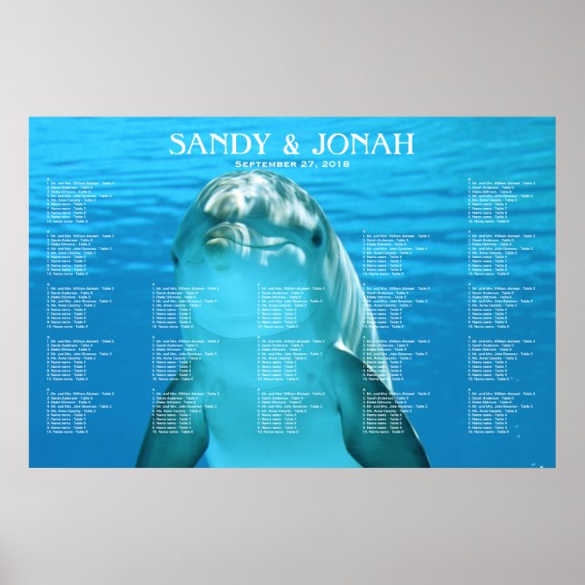 Dolphin Bröllop Tropical Sequing Diagram Poster (Framsidan)