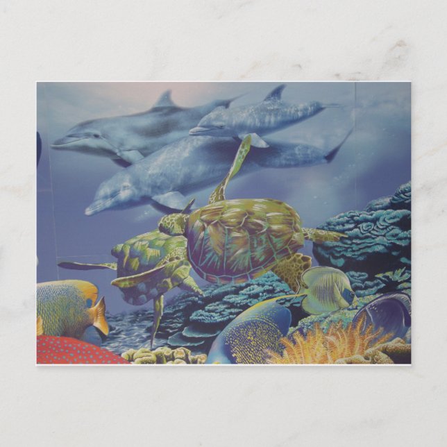 Dolphin Dance med Tropical Fish Vykort (Framsida)