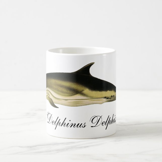 Dolphin Delphinus Delphis, Vintage Marine Mammals Kaffemugg (Center)