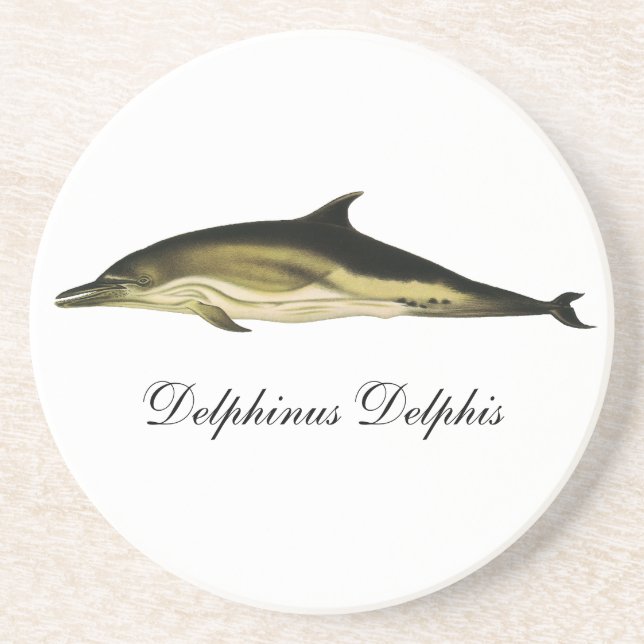 Dolphin Delphinus Delphis, Vintage Marine Mammals Underlägg Sandsten (Framsidan)