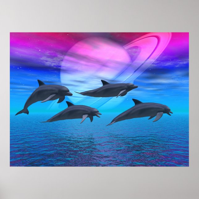 Dolphin Dreams Poster (Framsidan)
