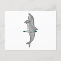 Dolphin Fitness däck Sport