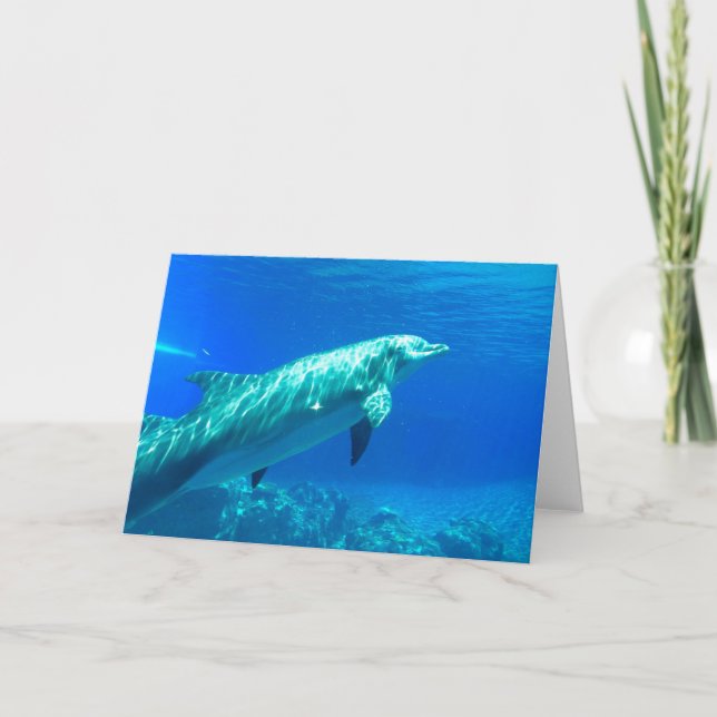 Dolphin-hälsningskort Tack Kort (Framsida)